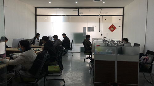 新乡市淘源网络科技有限公司 深耕网络技术，赋能企业数字化未来