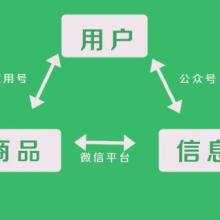 河南峰辉网络科技 以创新技术赋能企业数字化转型
